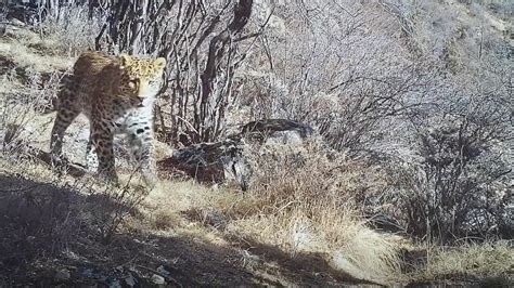 หอศิลป์ Qinghai โอเอซิสแห่งศิลปะท่ามกลางความรุนแรงของสูง